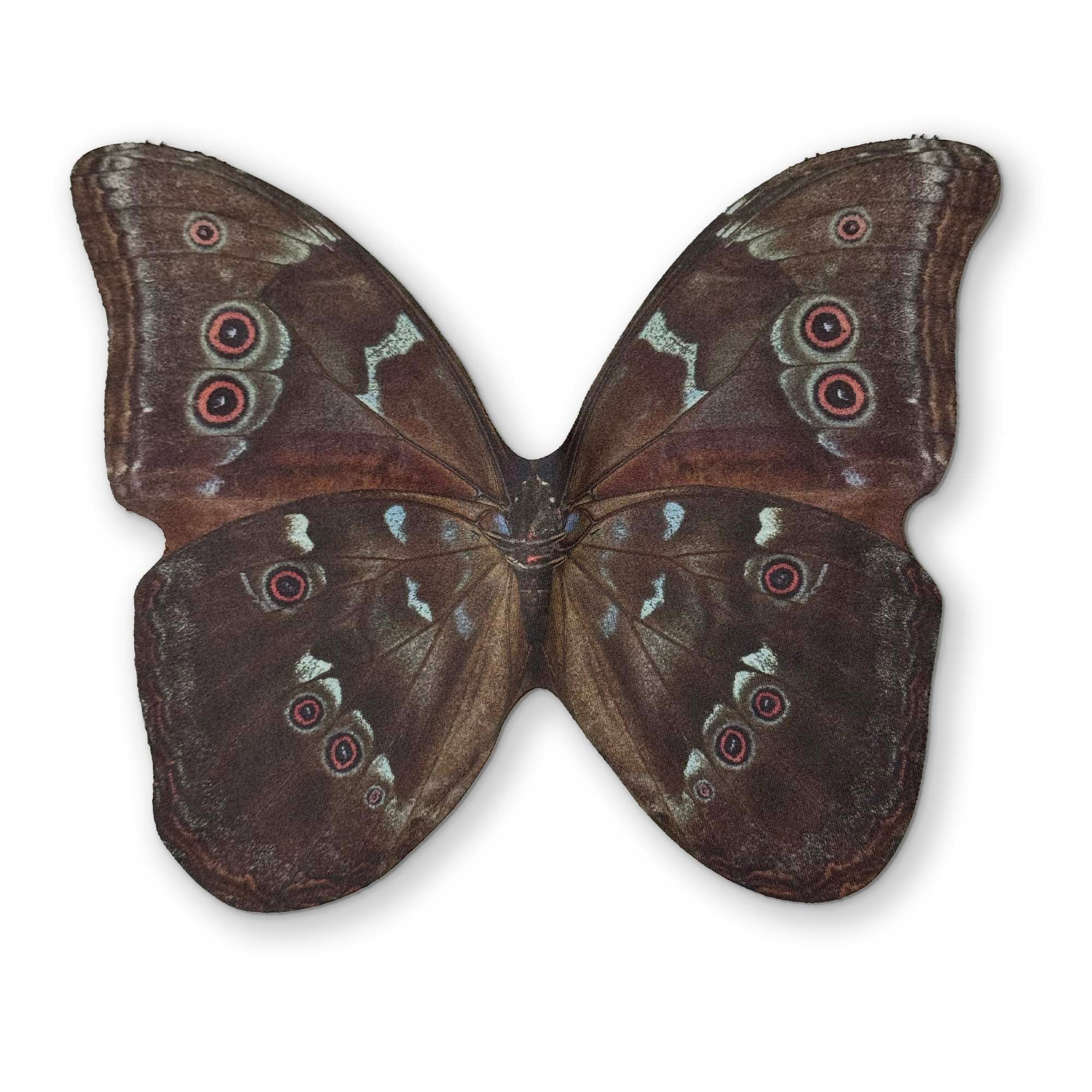 🦋 A BUTTERFLY YOU CAN CLEAN YOUR GLASSES WITH - Image 2