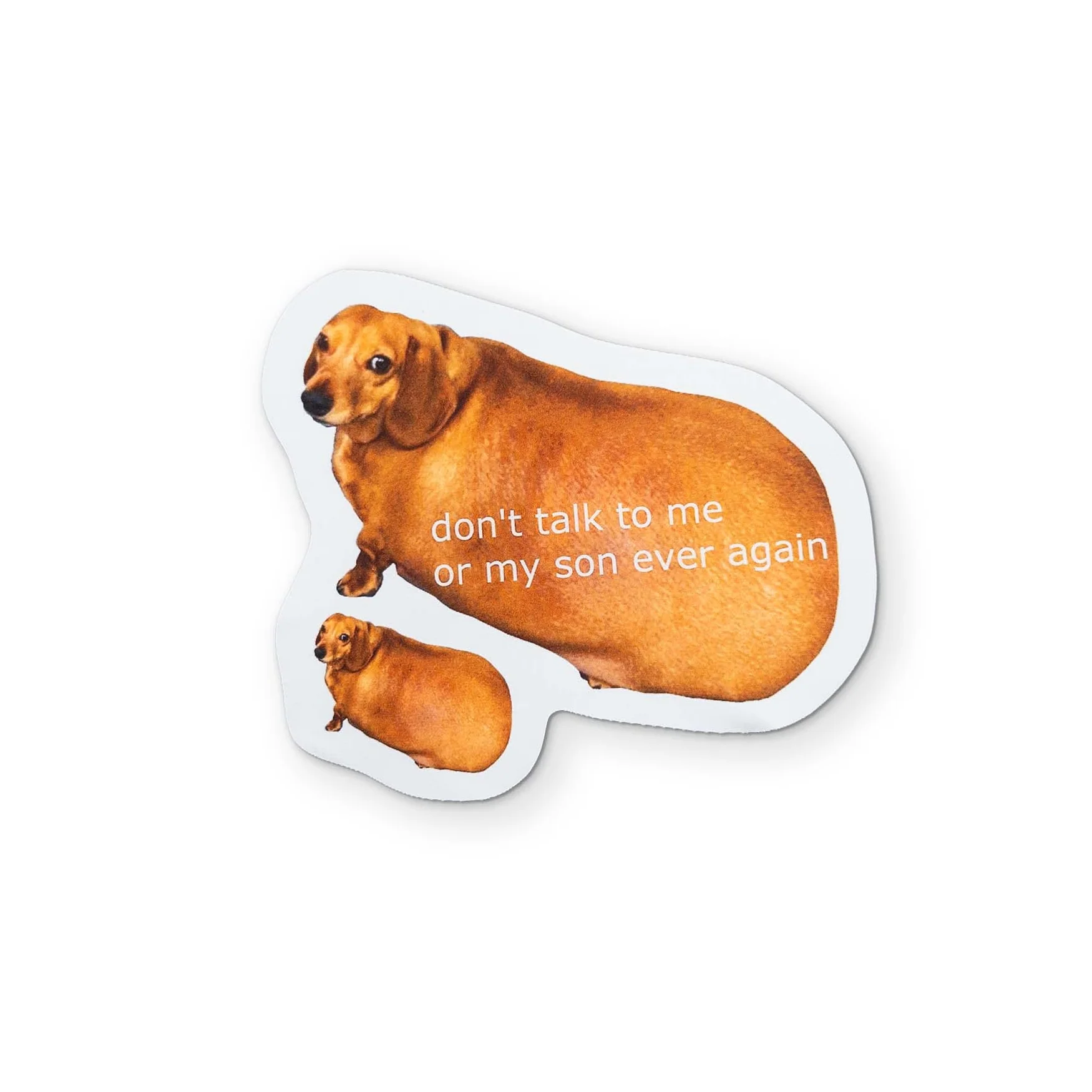 A Don't Talk to My Son Meme YOU CAN CLEAN YOUR GLASSES WITH