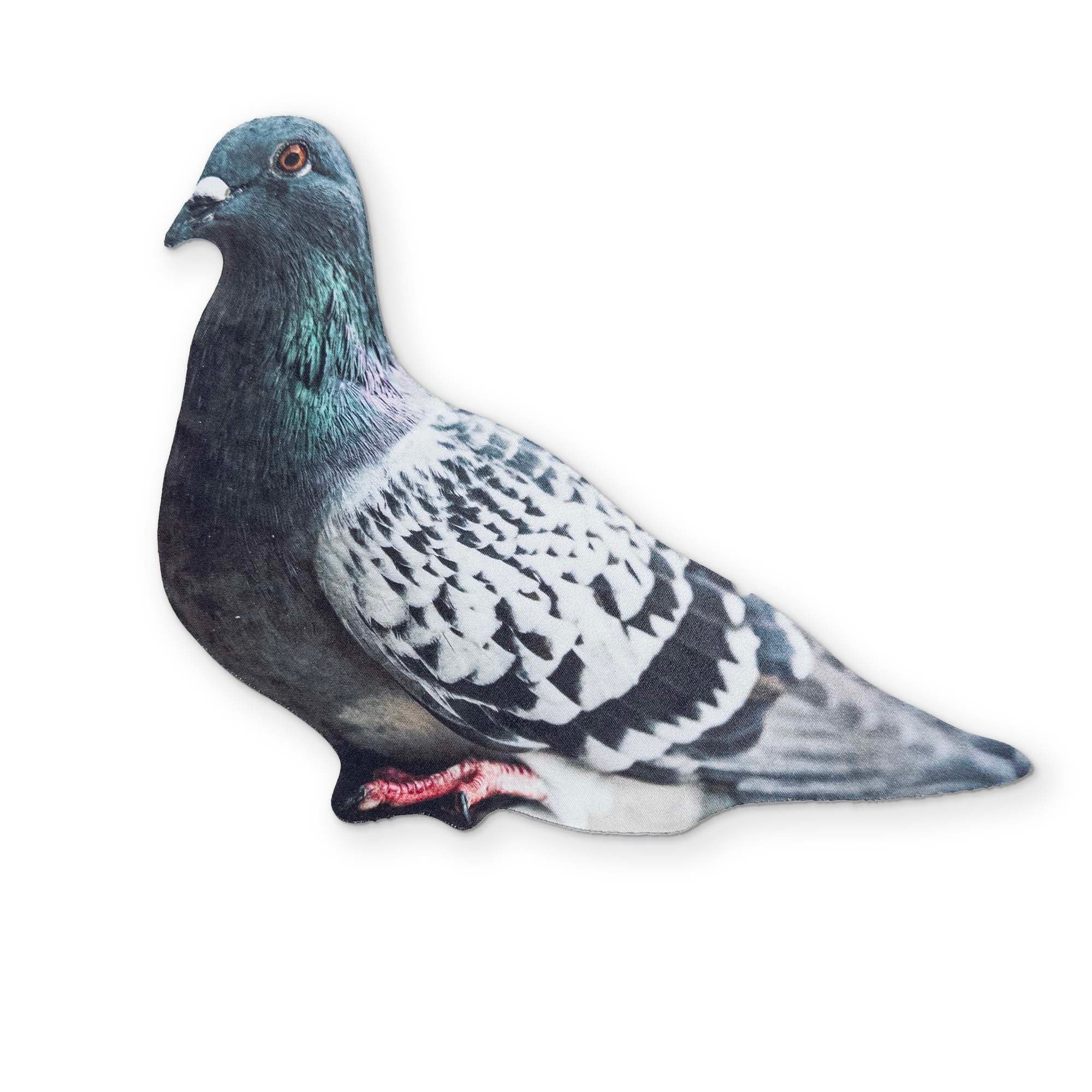 A PIGEON YOU CAN CLEAN YOUR GLASSES WITH - Image 2