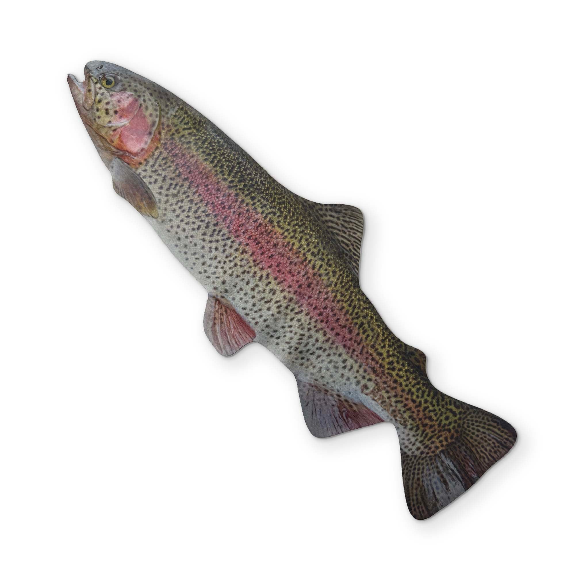 A RAINBOW TROUT YOU CAN CLEAN YOUR GLASSES WITH - Image 2
