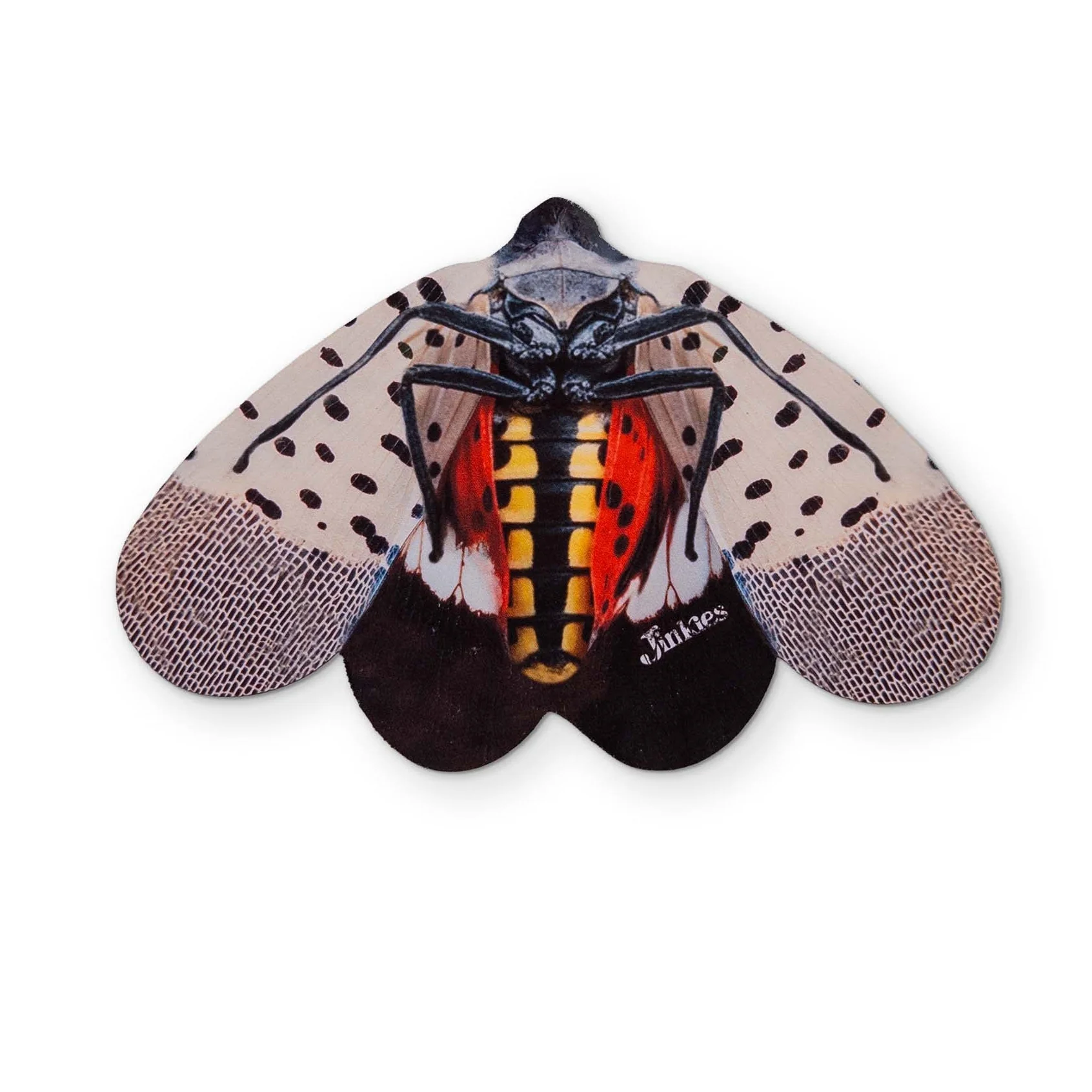 A SPOTTED LANTERNFLY YOU CAN CLEAN YOUR GLASSES WITH - Image 2