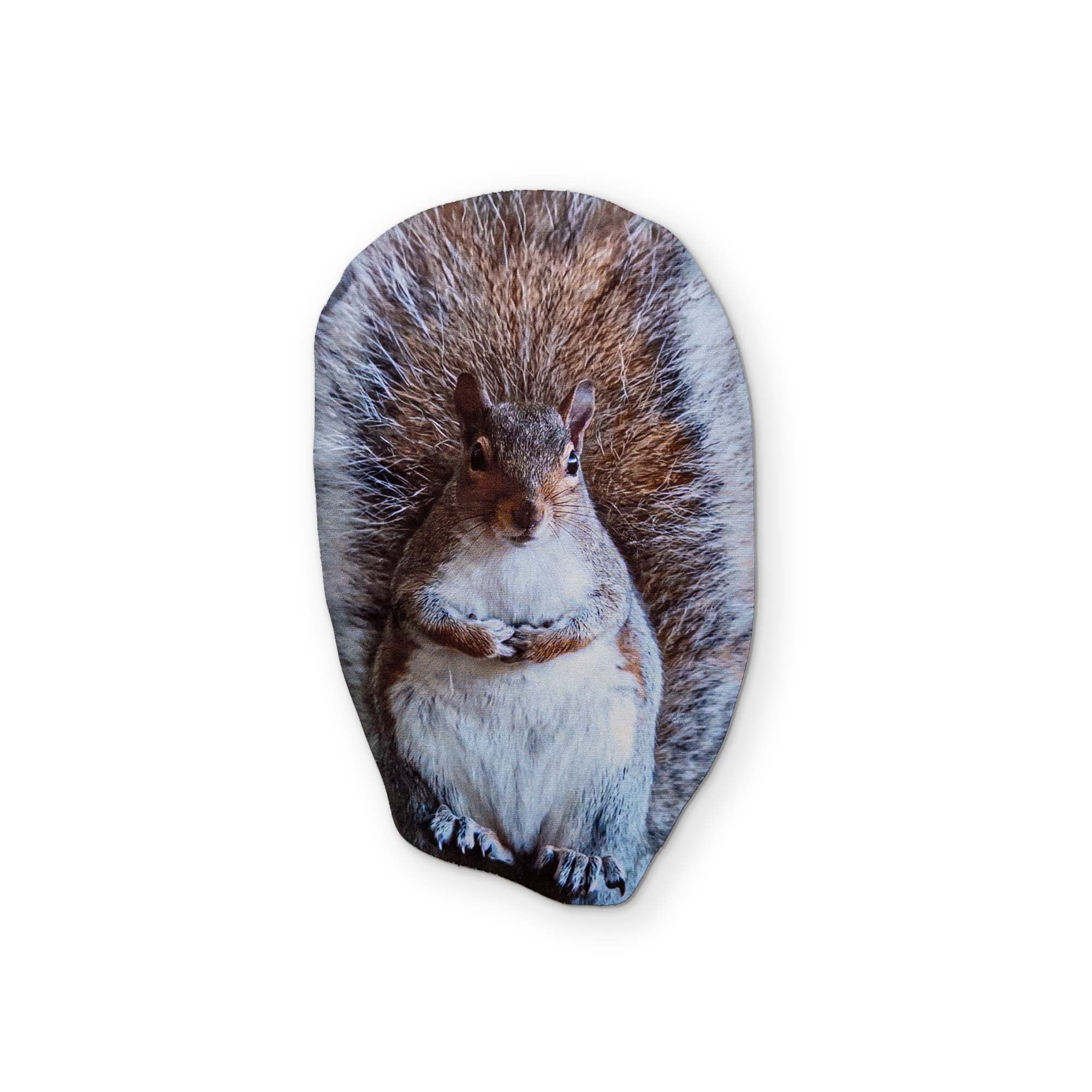 A SQUIRREL YOU CAN CLEAN YOUR GLASSES WITH