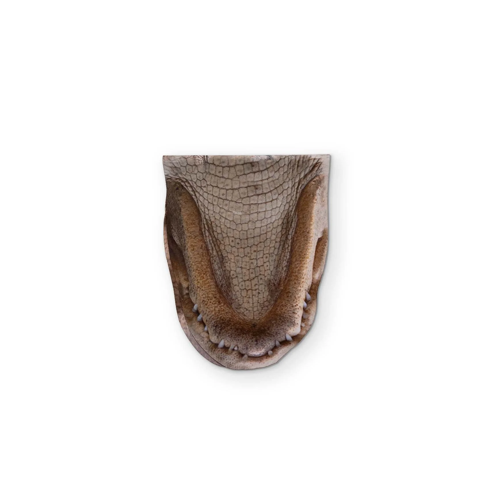 AN ALLIGATOR YOU CAN CLEAN YOUR GLASSES WITH - Image 3