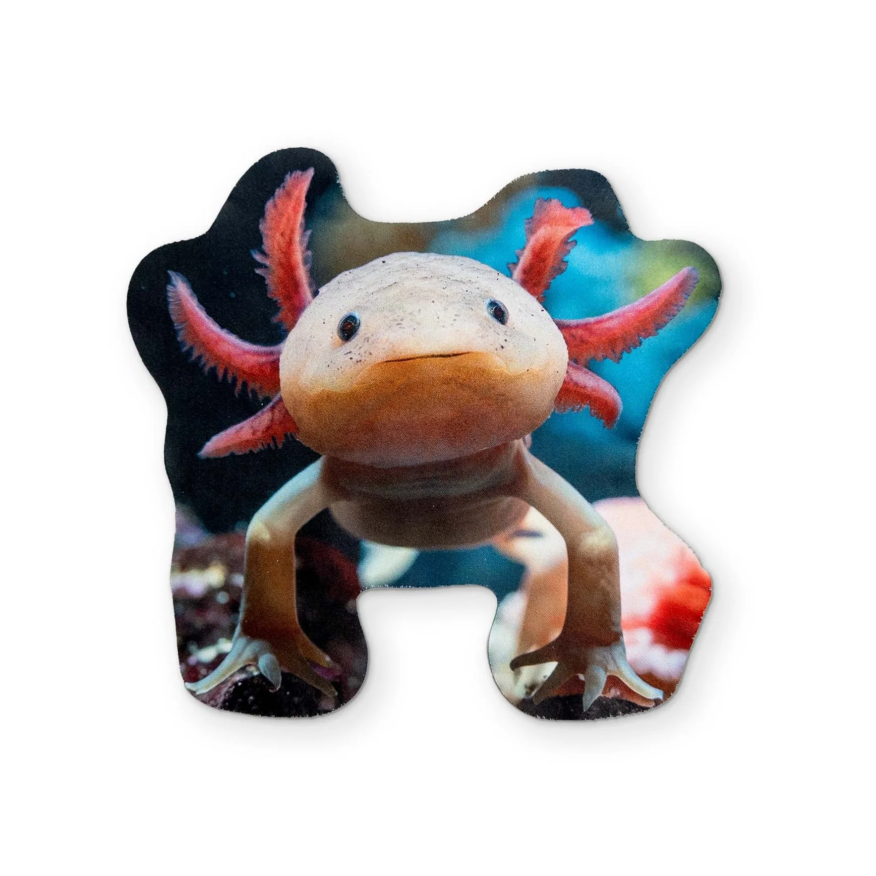 AN AXOLOTL YOU CAN CLEAN YOUR GLASSES WITH