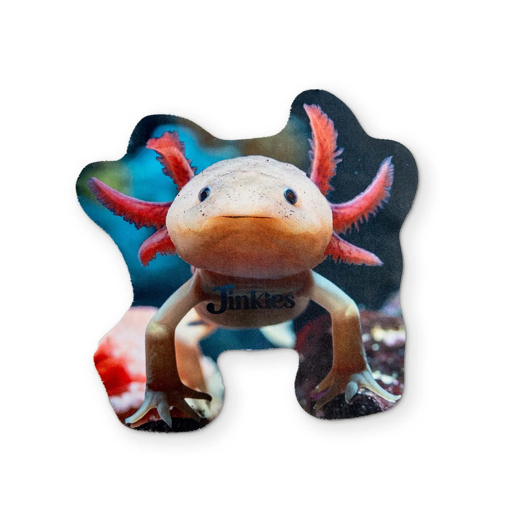 AN AXOLOTL YOU CAN CLEAN YOUR GLASSES WITH - Image 2