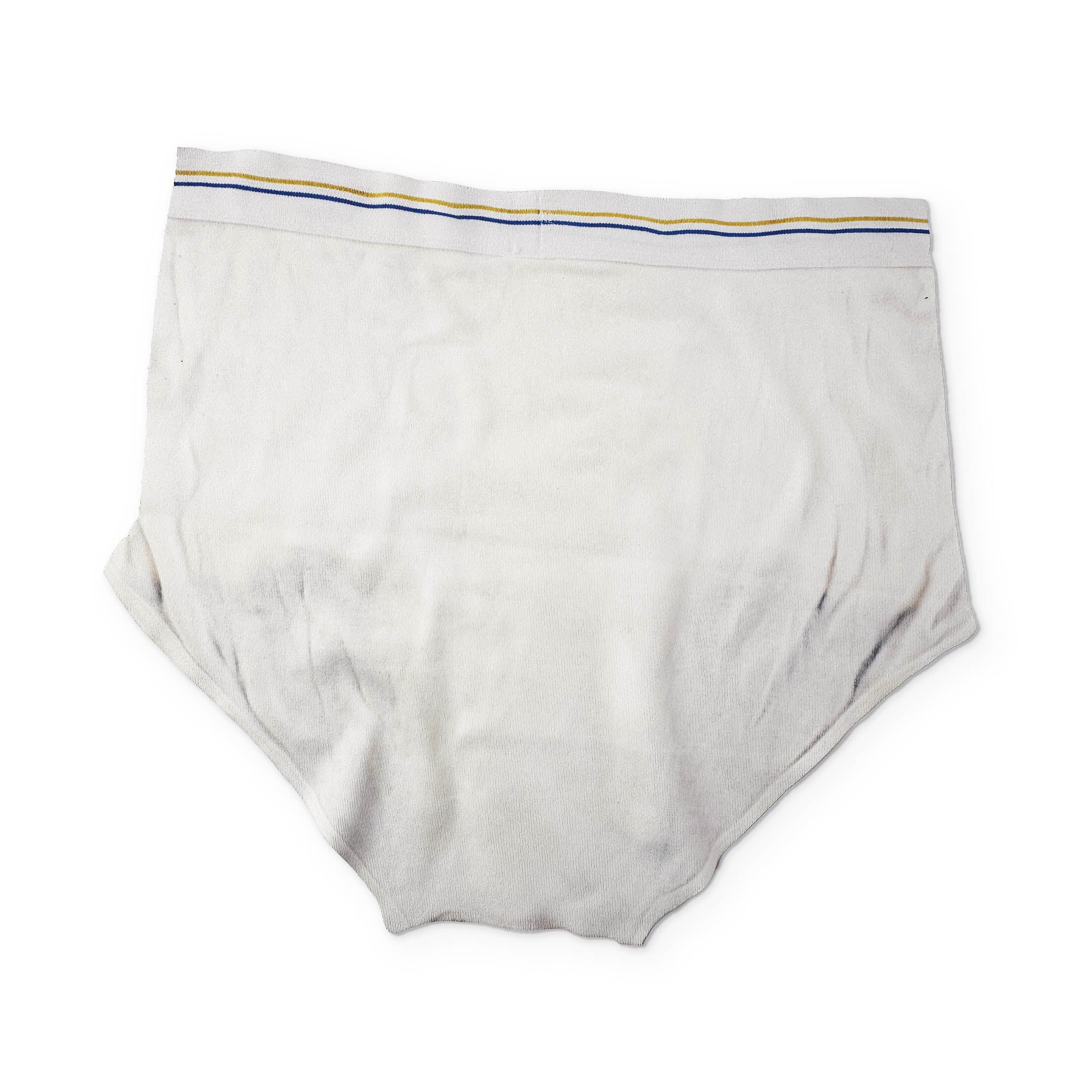 Tighty Whities You Can Clean Your Glasses With - Image 2